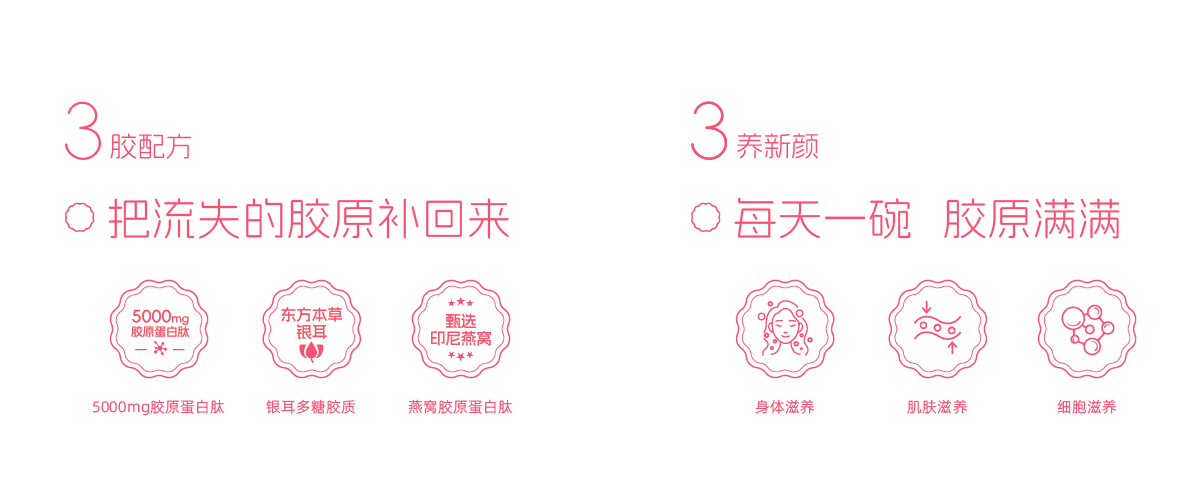 官网内容 大字-04